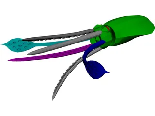 Squid 3D Model preview