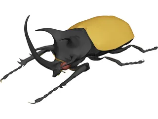 Eupatorus Gracilicornis 3D Model preview