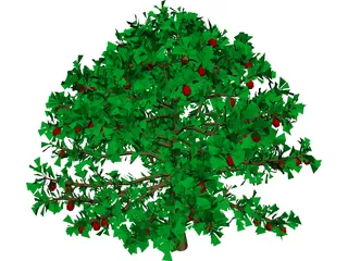 Apple Tree 3D Model preview