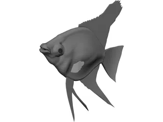 Pterophyum Scalare 3D Model preview