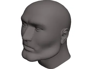 Head Male 3D Model preview