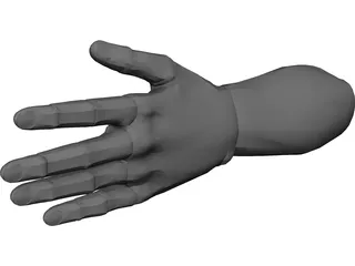 Hand Male 3D Model preview