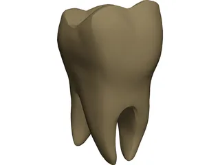 Molar 3D Model preview