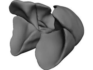 Lungs Human 3D Model preview