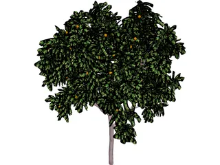 Zitronenbaum 3D Model preview