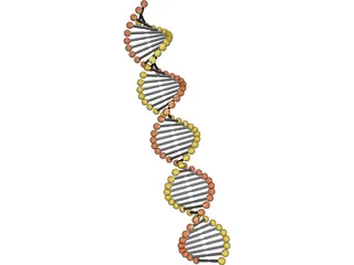 DNA Model 3D Model preview