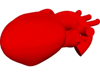Heart Human 3D Model preview