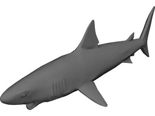 Shark Great White 3D Model preview