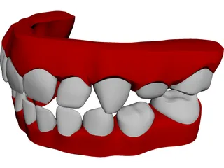 Teeth Childs 3D Model preview