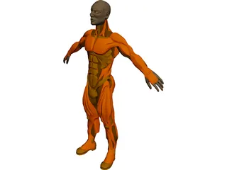 Muscle Man 3D Model preview