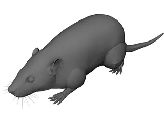 Rat 3D Model preview