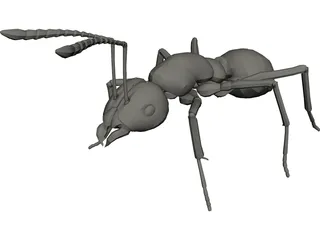 Ant 3D Model preview