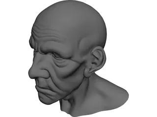 Man Head Old 3D Model preview
