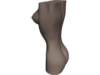 Women Body 3D Model preview