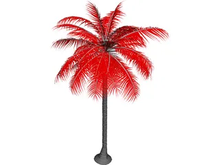 Palm Tree 3D Model preview