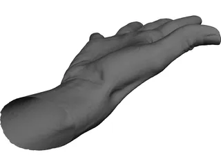 Open Hand 3D Model preview