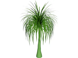 Palmera 3D Model preview