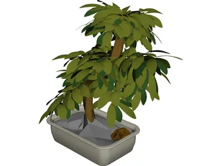 Small Tree 3D Model preview
