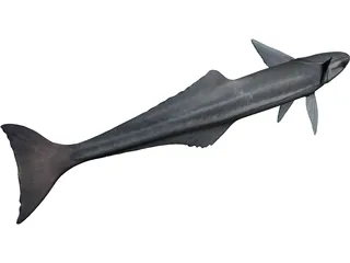 Remora 3D Model preview