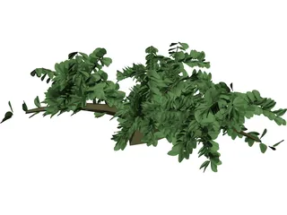 Tree 3D Model preview