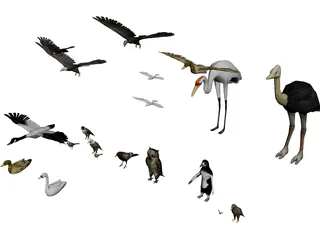 Birds Collection 3D Model preview