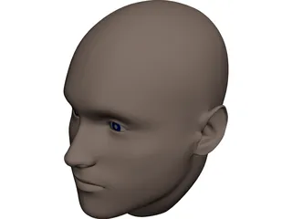 Human Head 3D Model preview