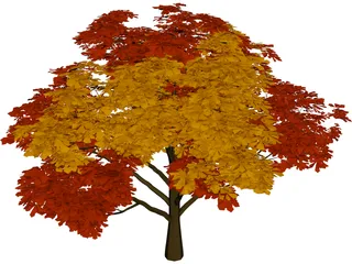 Chestnut Tree 3D Model preview