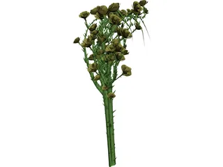 Rose Flower 3D Model preview