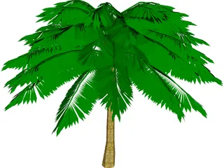 Palm Tree 3D Model preview