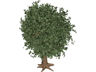 Oak Tree 3D Model preview