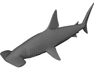 Shark 3D Model preview