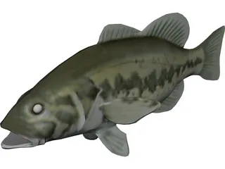 Bass 3D Model preview