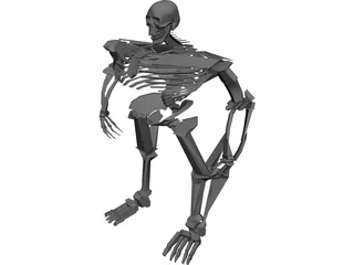 Warrior Skeleton 3D Model preview