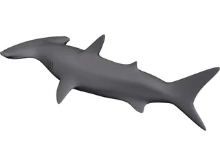 Shark 3D Model preview