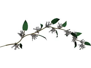 Wine Plant 3D Model preview