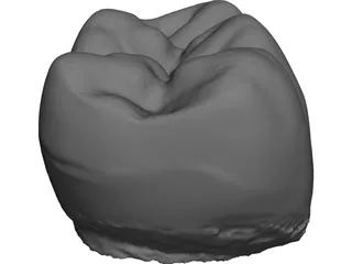 Molar Tooth 3D Model preview