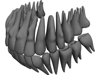 Teeth 3D Model preview