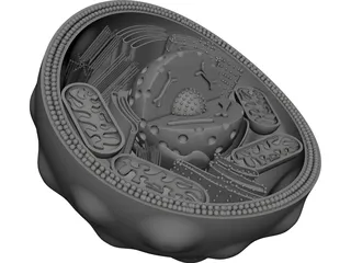 Animal Cell 3D Model preview