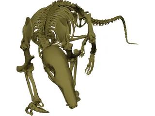Skeleton Prehistoric 3D Model preview