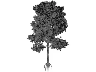 Pinus Coulteri Tree 3D Model preview