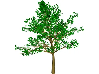 Tree 3D Model preview