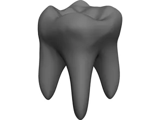 Tooth 3D Model preview