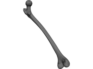 Femur Bone 3D Model preview