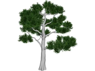 Pine Tree 3D Model preview