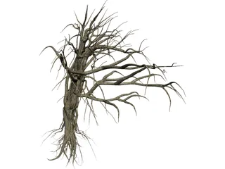 Dry Old Tree 3D Model preview