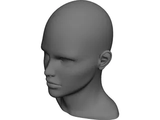 Human Head and Neck 3D Model preview