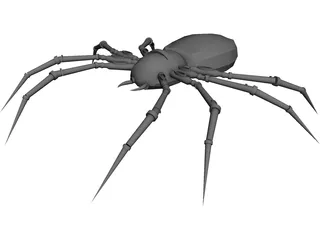 Poison Spider 3D Model preview