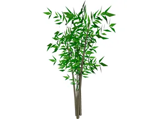 Bamboo Tree 3D Model preview