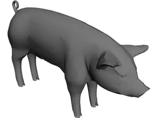 Pig 3D Model preview