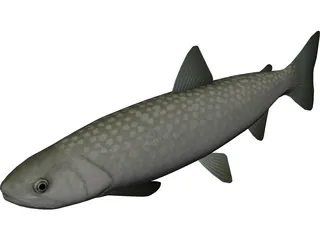 Amemasu 3D Model preview